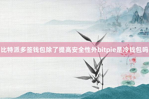 比特派多签钱包除了提高安全性外bitpie是冷钱包吗