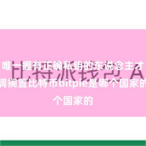 唯一握有正确私钥的东说念主才调搁置比特币bitpie是哪个国家的