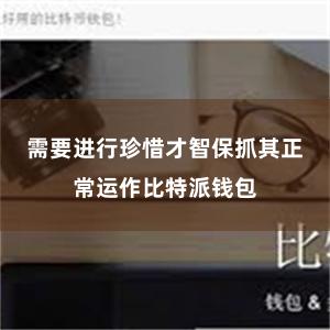 需要进行珍惜才智保抓其正常运作比特派钱包