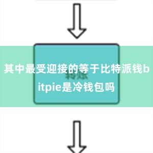 其中最受迎接的等于比特派钱bitpie是冷钱包吗