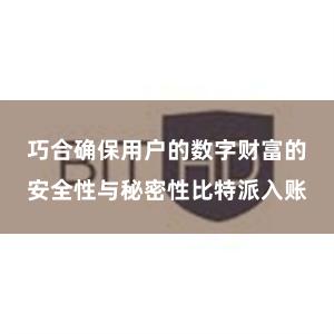 巧合确保用户的数字财富的安全性与秘密性比特派入账